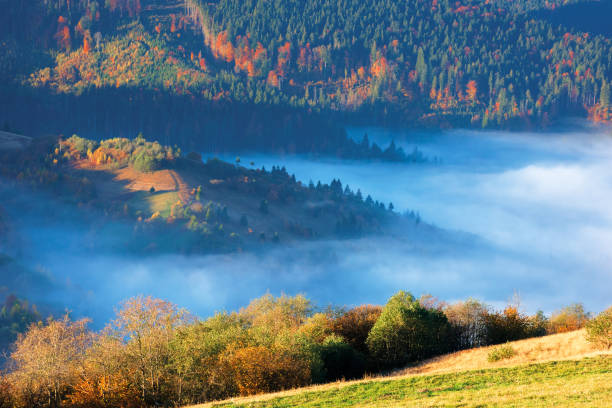 istock gorgeous sunny morning in mountain 1182067125