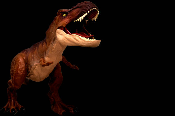 istock Tyrannosaurus open-mouthed in darkness 1182067399