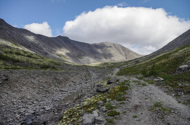 carretera pavimentada a través del valle de la montaña con musgos y rocas cubiertas de líquenes. cielo nublado antes de la tormenta. montañas khibiny por encima del círculo ártico, península de kola, rusia - khibiny hibiny valley mountain fotografías e imágenes de stock