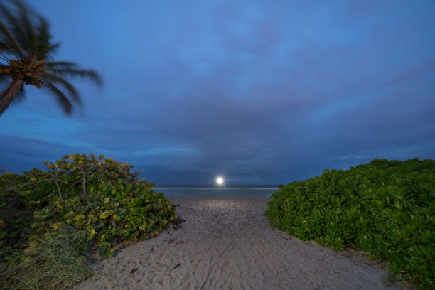 istock Morning sunrise over the ocean 1182068151