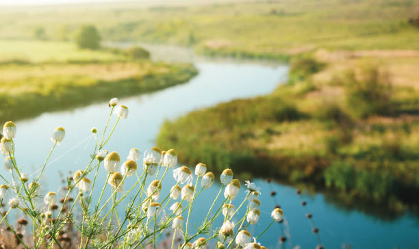 Tula region,Russia