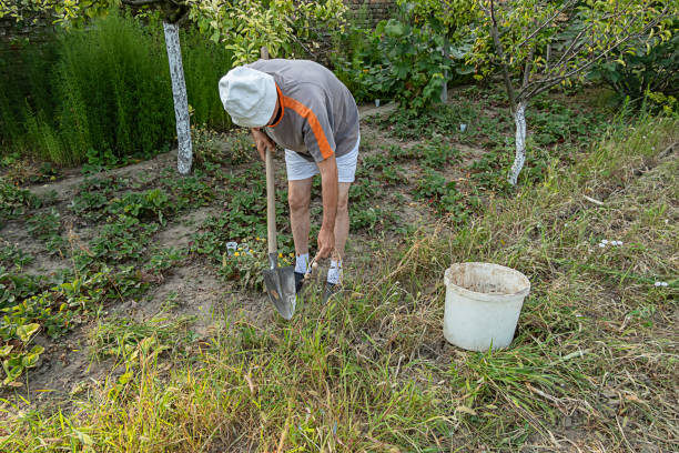 istock Active Older Man Works with the Shovel in his Garden 1182069416