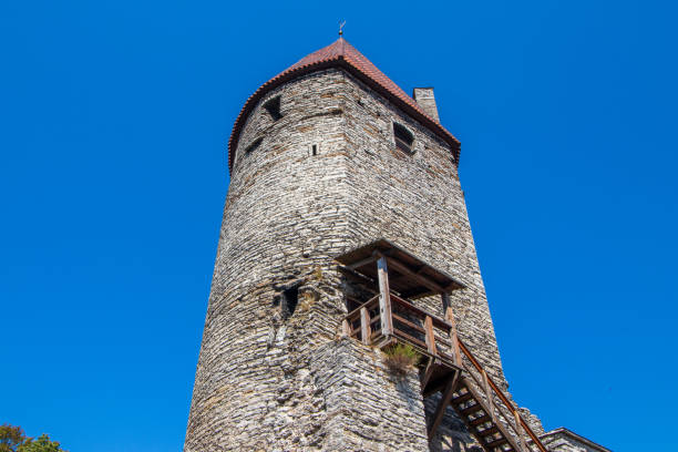 istock Old town of Tallinn. 1182069478