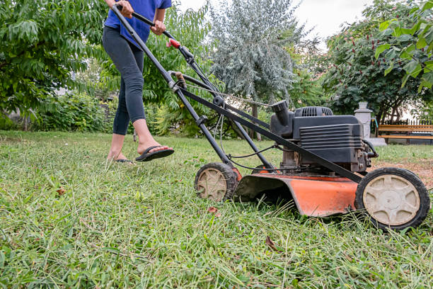 istock Young Girl Mowing the Grass 1182069579