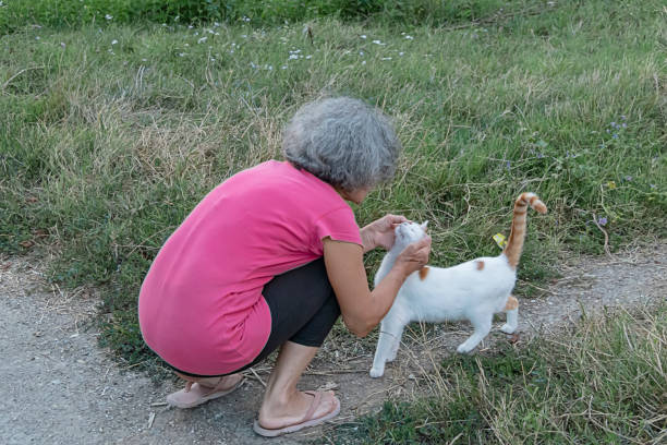 istock Love Between Senior Woman and Cat 1182069956