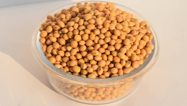 istock Soyabean seed in glass bowl 1182074399