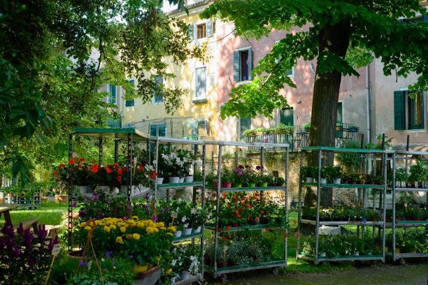 Greenhouse flower store