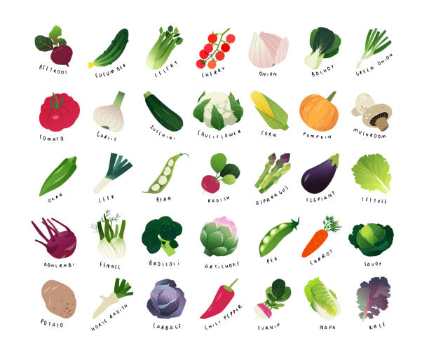 Clipart mini vegetable icons List of common vegetables, clip art miniatures of common vegetables raw potato vegetable illustration and painting symbol stock illustrations