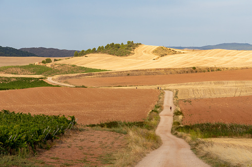 View of long hiking trail.  Camino de Santiago - Way of St. James - Pilgrimage