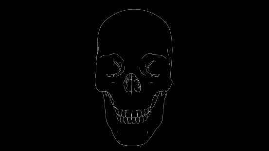drawing of\nskeleton skull in black and white