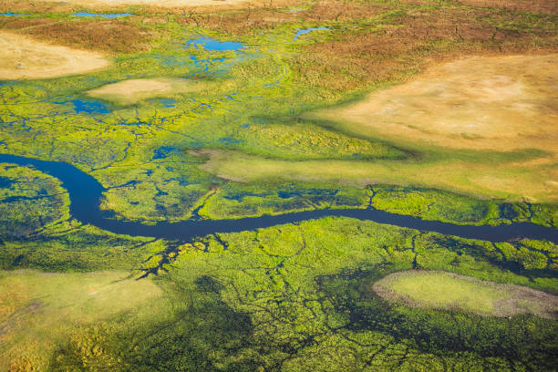 Aerial view of Okavango Delta, Botswana, Africa stock photo