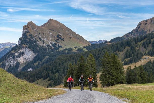 istock group of seniors on electric mountain bikes in the Bregenz Wald 1182087807