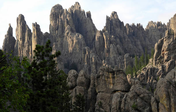 istock Black Hills National Forest 1182088154