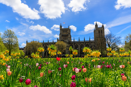 Spring flowers Blooming in front of the Bristol Cathedral. in Collage Green.
