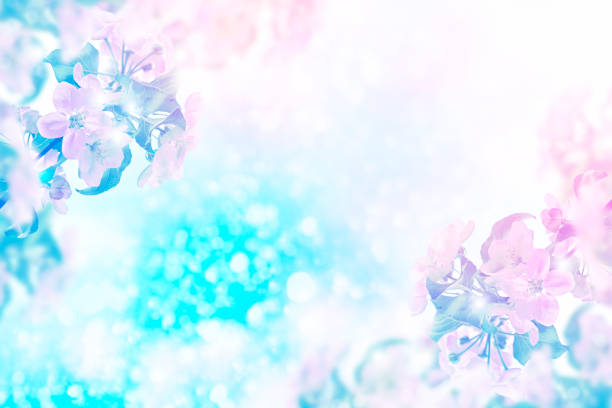 istock Bright colorful flowers 1182090475