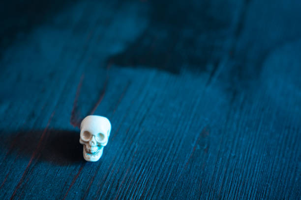 Small human skull model on wooden surface in dark for halloween. No people are seen in frame. Selective focus on skull. Shot under daylight with a full frame mirrorless camera.