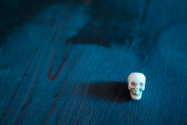 Small human skull model on wooden surface in dark for halloween. No people are seen in frame. Selective focus on skull. Shot under daylight with a full frame mirrorless camera.