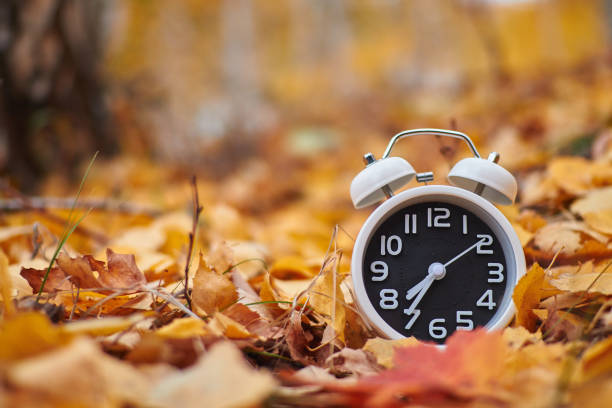 istock White alarm clock on a background of yellow foliage 1182097340