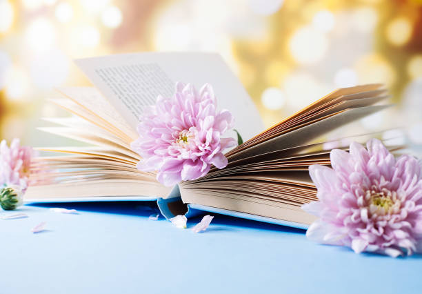 Opened old book with chrysanthemum flower on blurred bokeh background