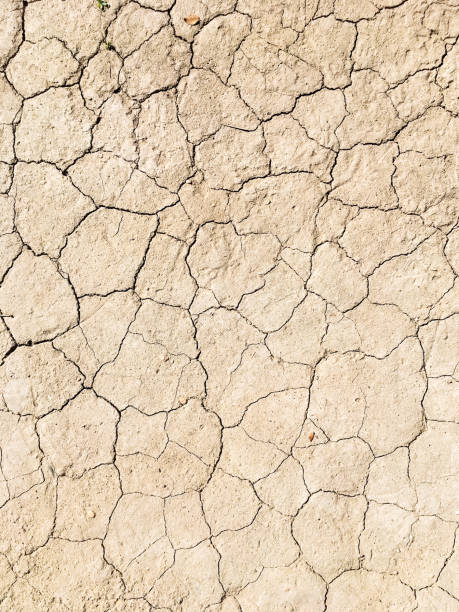istock Dried cracked earth soil ground texture background 1182098652