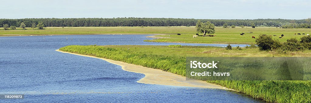 Vista panorámica del río Elba paisaje - Foto de stock de Agua libre de derechos