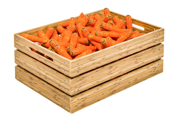 Carrots in the wooden crate, 3D rendering isolated on white background