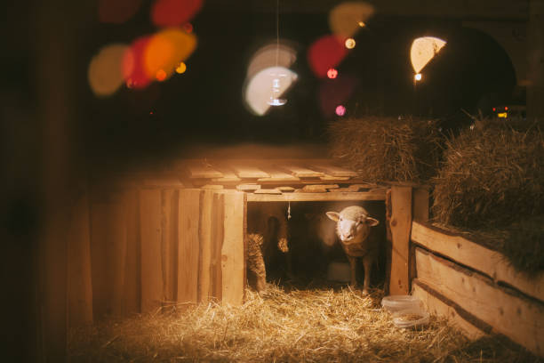 Christmas Nativity set on wooden table with defocused candles in the background. Baby Jesus in the manger.