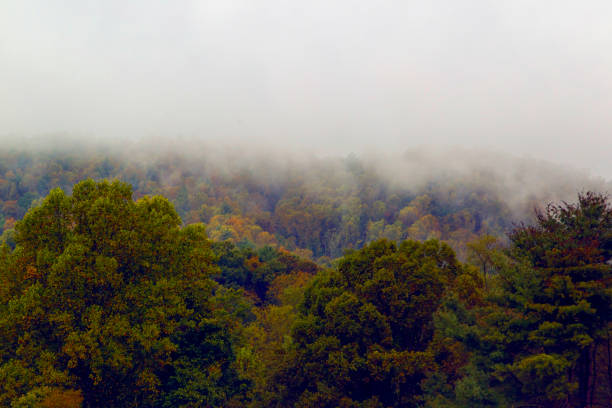 istock Curvy road through morning fog 0866 1182101473