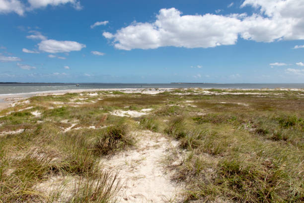 istock Sand Dunes North Carolina 1182102231