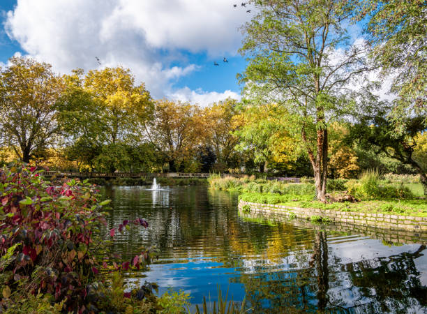 Bishop public park in fall season, London Beautiful autumn scene outdoors in Bishop public park with orange colored trees reflected in a pond in a sunny day in London putney photos stock pictures, royalty-free photos & images