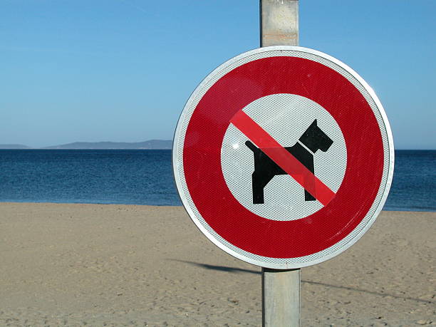 istock No dog sign on the beach 118210341