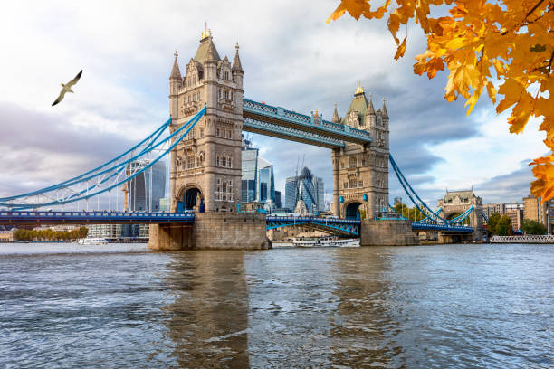 istock The iconic Tower Bridge on a cloudy afternoon in autumn 1182105404