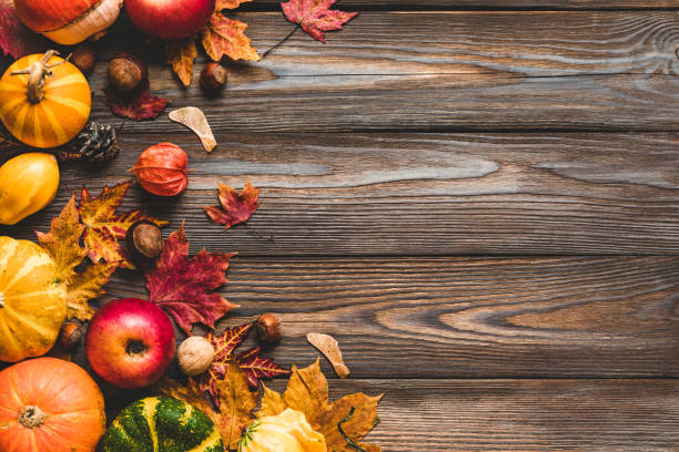 istock Thanksgiving or autumn background. Fall composition with pumpkins, fallen leaves, dry flowers and nuts 1182105658