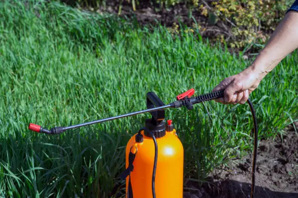 The woman's hand holds the handle of an orange sprayer, from which jets of an chemical solution gush against the background of a green bed. The concept of marriage level of cheap garden equipment.
