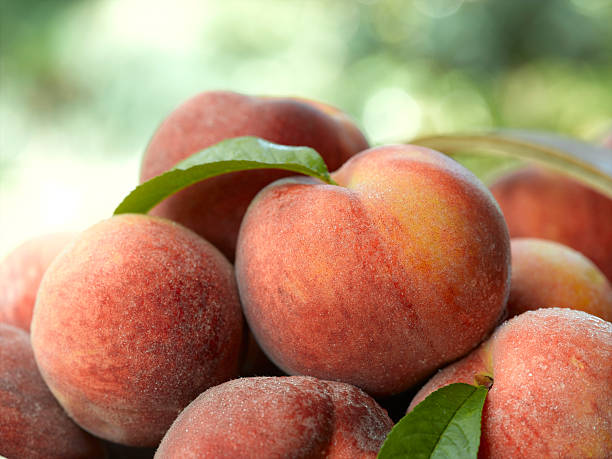 Peaches  peach stock pictures, royalty-free photos & images