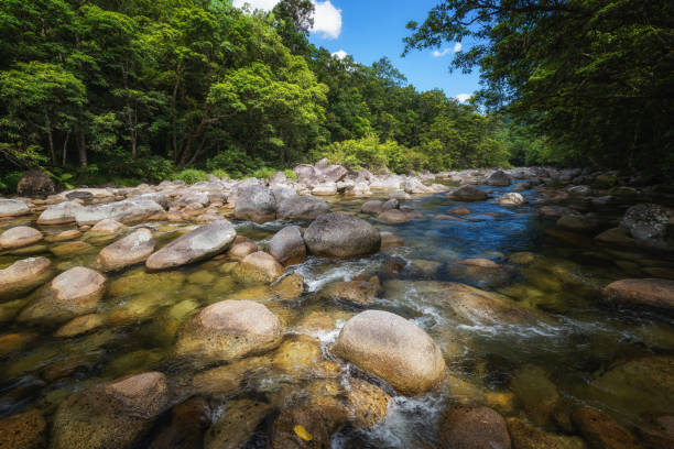 The Mossman river running through Mossman Gorge, Daintree National Park, Queensland, Australia The clear water of a mountain river flows among the boulders illuminated by the sun against the background of tropical thickets and blue sky mossman gorge stock pictures, royalty-free photos & images