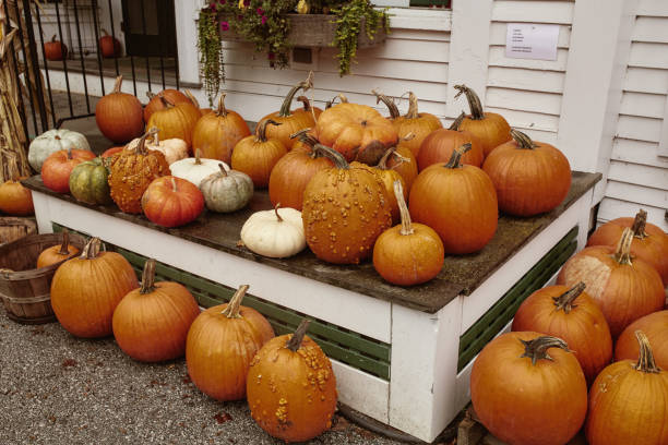 istock Fall road trip in New England, USA 1182114435