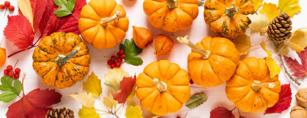 istock Festive autumn pumpkins decor with fall leaves, berries, nuts on white background. Thanksgiving day or halloween holiday, harvest concept. Top view flat lay composition with copy space for greeting 1182115883