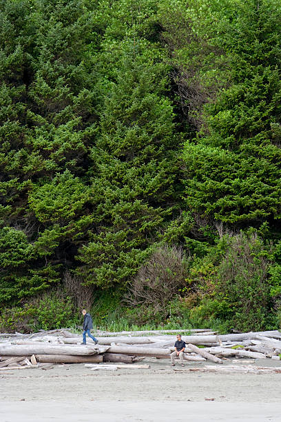 istock Family exploring driftwood on Beach 118211868