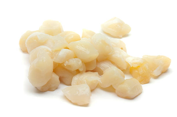 istock Pile of Scallops 118211973