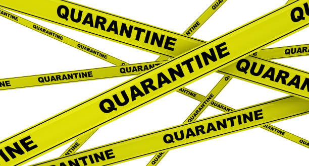 istock Quarantine. Yellow warning tapes 1182120960