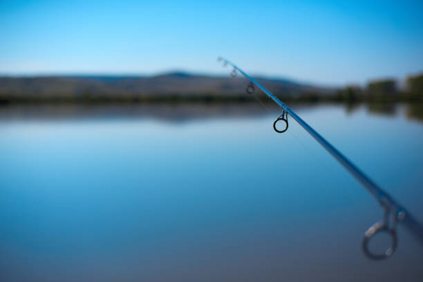 istock Fishing gear at the lake 1182123296
