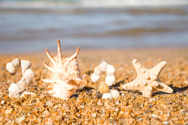 istock Numbers 2020 made of sea shells on a sand against blue water 1182123355