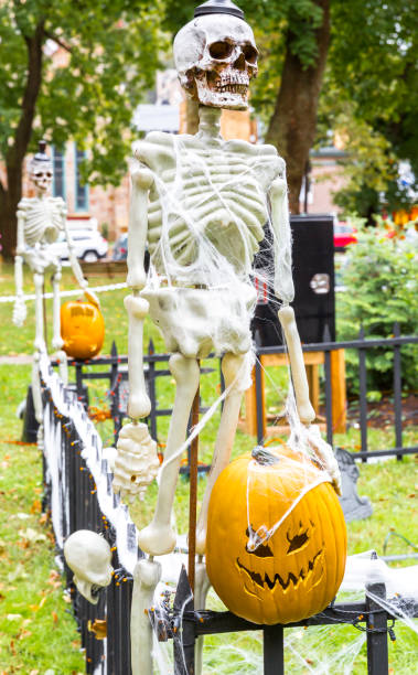 istock Halloween--Skeletons With Pumpkins 1182123662