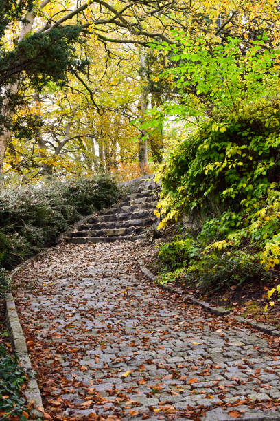 Fallen leaves on the steps and path. Stavanger. Norway. Scandinavia.