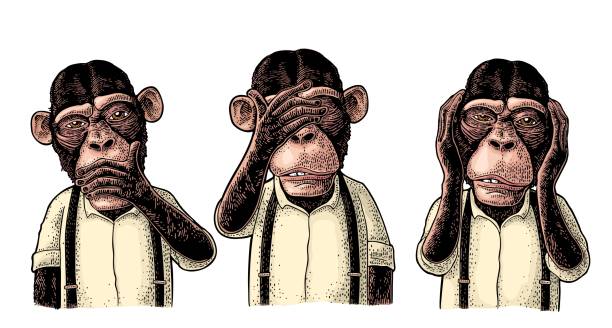 ilustraciones, imágenes clip art, dibujos animados e iconos de stock de tres monos sabios. no ver, no oír, no hablar. grabado vintage - primate