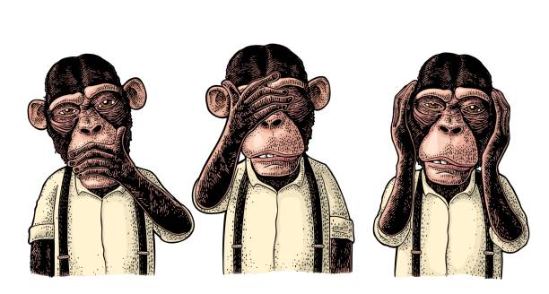 Three wise monkeys. Not see, not hear, not speak. Vintage engraving Three wise monkeys with hand on ears, eyes, mouth. Not see, not hear, not speak. Vintage color engraving illustration for poster, web, t-shirt, tattoo. Isolated on white background primate stock illustrations