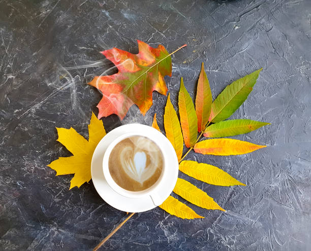 cup of coffee autumn leaf on concrete background