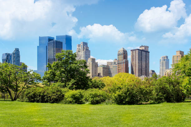 istock New York city view from central park 1182133855