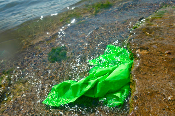 istock Water Pollution,Polluting the Seas 1182134976